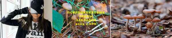 амфетамин Кукмор