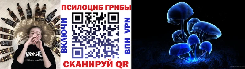 Купить где  Красково  Галлюциногенные грибы мицелий 